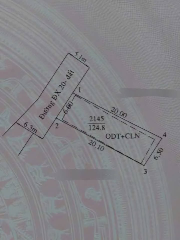 Đất thổ cư Phú Mỹ Thủ Dầu Một 125m² giá 3.3 tỷ - Thông tứ hướng, gần chợ