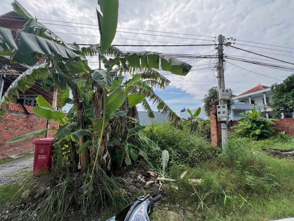 Đất thổ cư Hẻm 203 QL62, Tân An 150m² giá 2.2 tỷ - Đường ô tô vào tận nơi!