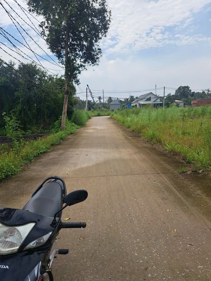 Đất thổ vườn 1350m² tại xã Hựu Thạnh, Đức Hòa - Giá 4 tỷ thương lượng!