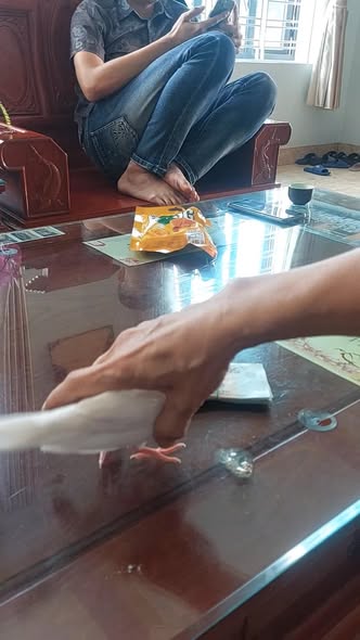 Đất nền đẹp tại phường Quảng Hưng, diện tích 96m² giá 1 tỷ - Cơ hội đầu tư không thể bỏ lỡ!