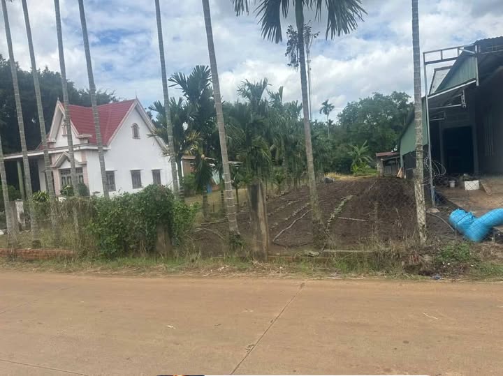 Đất thổ cư Hòa Phú 233m² giá 1.15 tỷ - Đầu tư sinh lời lâu dài!