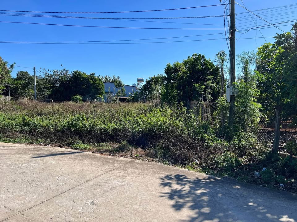 Đất nền Liên Hiệp, Đức Trọng 162m² giá chỉ 1.8 tỷ - Đầu tư sinh lời ngay!