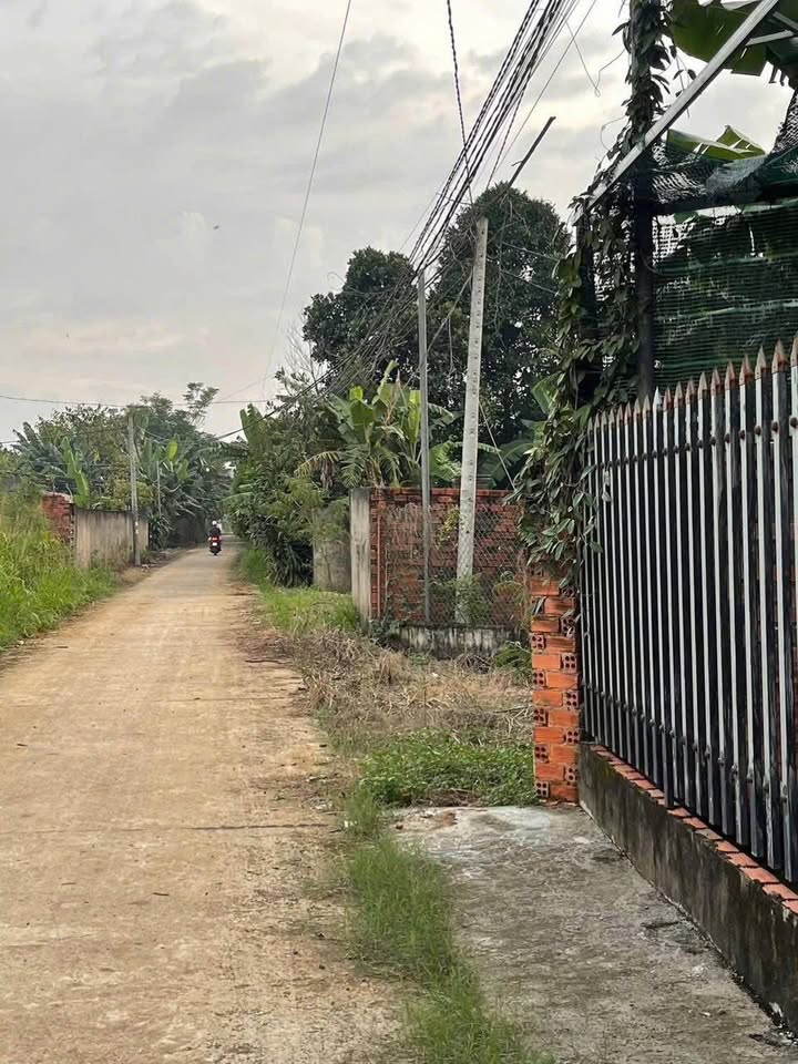 Đất nền đường Petong lớn tại Bưu Điện - Kim Thượng, Gia Kiệm 110m² giá 590 triệu - Sổ đỏ chính chủ!