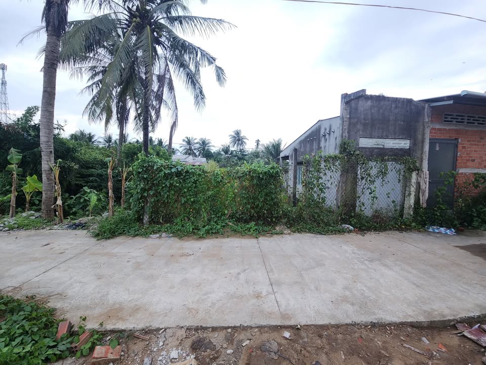 Đất nền Hẻm kỹ thuật D7, Nguyễn Công Bình, 100m² giá 700 triệu - Chủ cần tiền bán gấp!