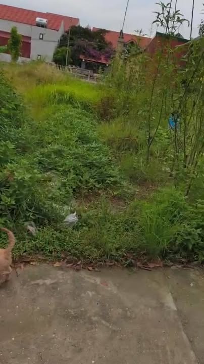 Nhà riêng Định Sơn, Cẩm Giàng 89m² giá chỉ 1 tỷ - Rẻ nhất thị trường!