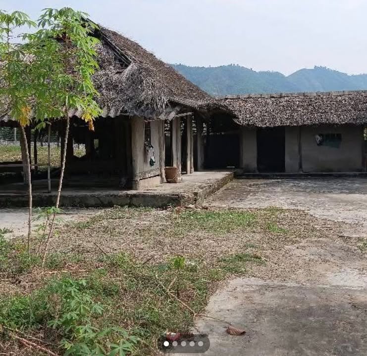 Đất Farm Xuân Viên Yên Lập 8000m² giá 3 tỷ - Pháp lý rõ ràng, thuận tiện giao thông!