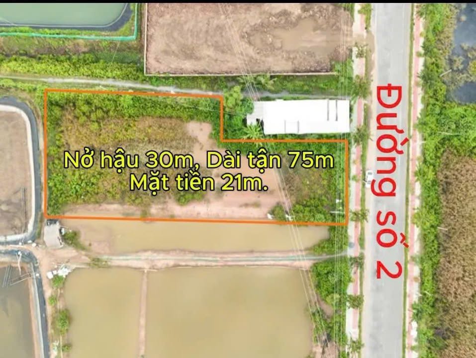 Đất nền xã Ngũ Lạc 1575m² chỉ 2.326 tỷ - Nở hậu đẹp, thương lượng thoải mái!