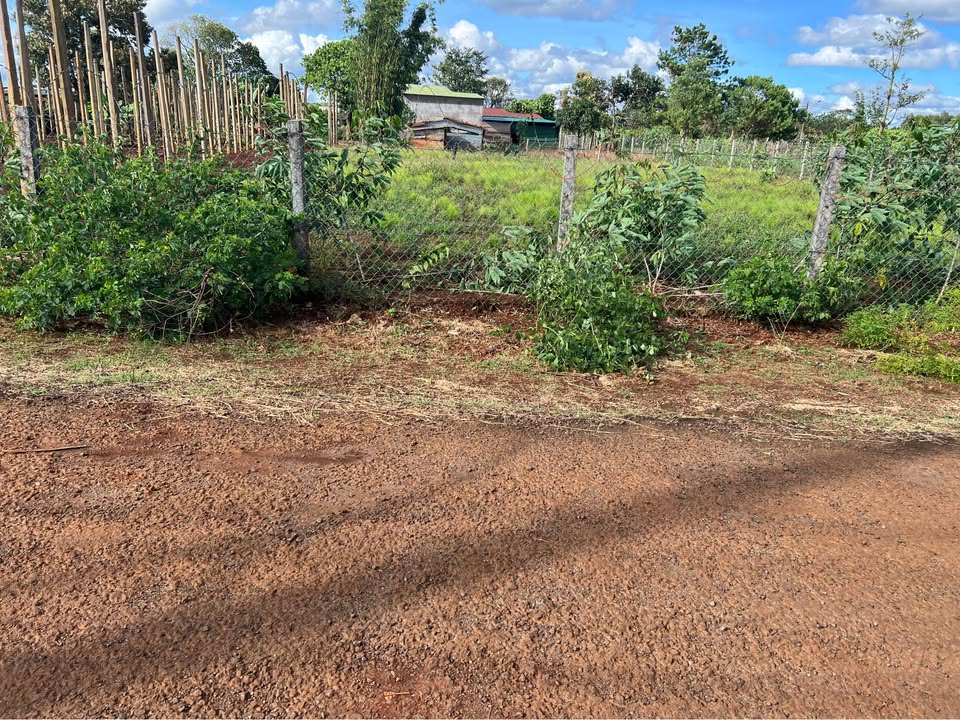 Đất thổ cư xã Gào, Pleiku 350m² giá 600 triệu - Sổ đỏ chính chủ!