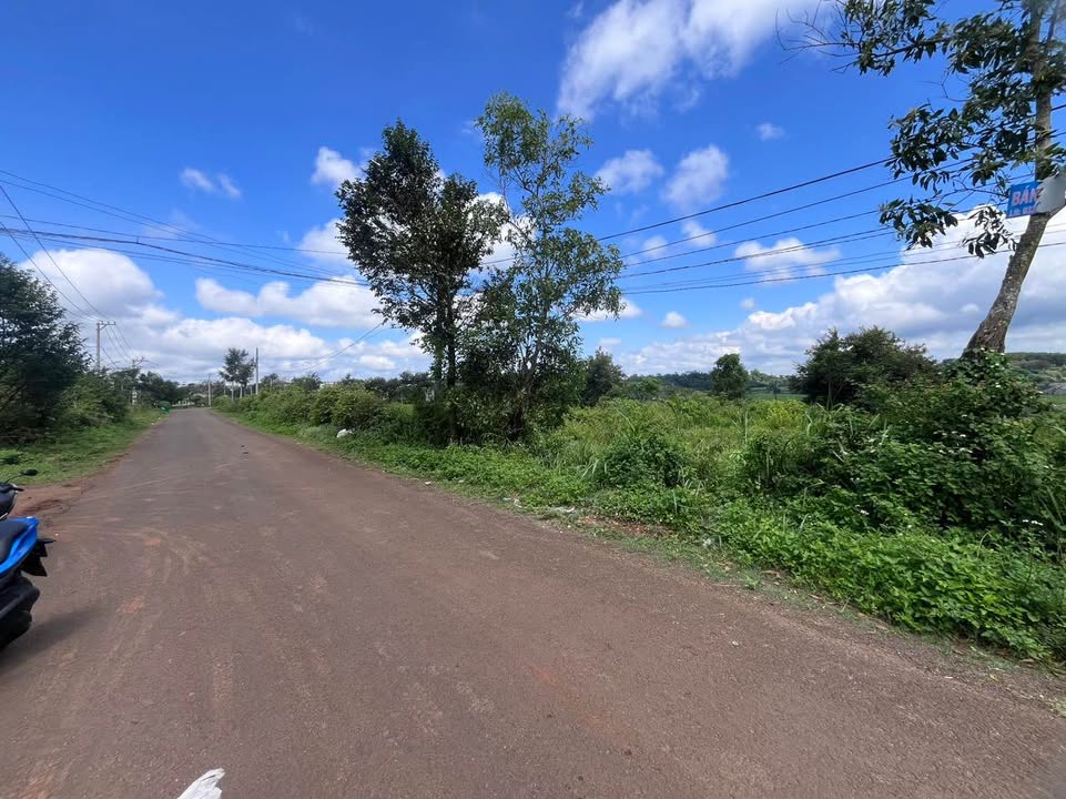 FrontHouse Bùi Viện, An Phú 675m² giá 1.9 tỷ - Mặt tiền đẹp, đầu tư sinh lời!