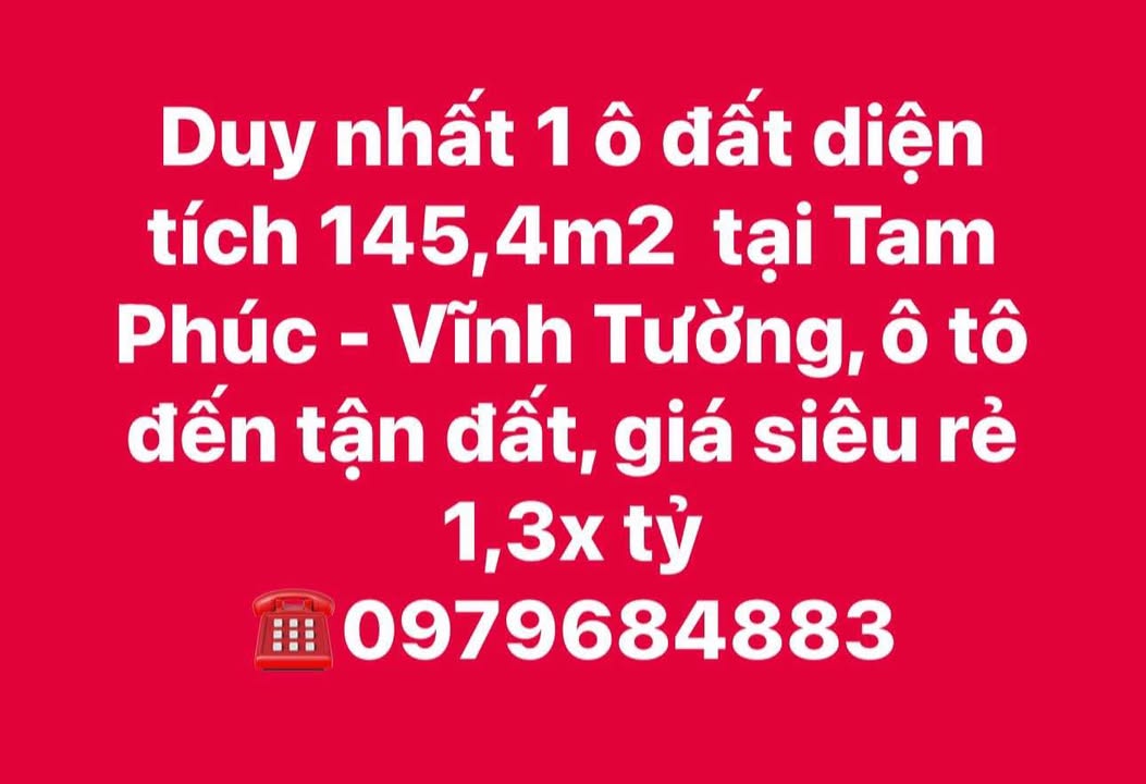 Đất nền Tam Phúc Vĩnh Tường 145.4m² giá chỉ 1.3 tỷ - Đầu tư sinh lời ngay!
