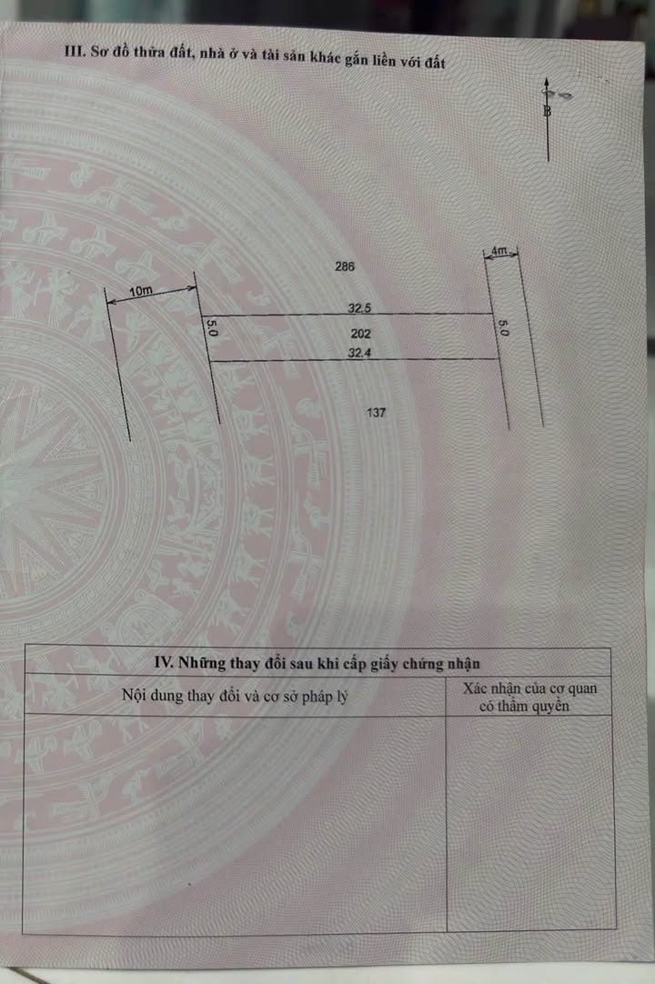 Đất hẻm nhựa số 8 An Dương Vương 162.5m² giá 230 triệu - Sổ đỏ chính chủ!