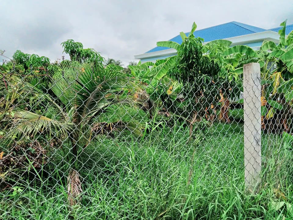 Đất nền 10x18.5m tại Mỹ Phong, Tiền Giang chỉ 800 triệu - Cơ hội đầu tư tuyệt vời!