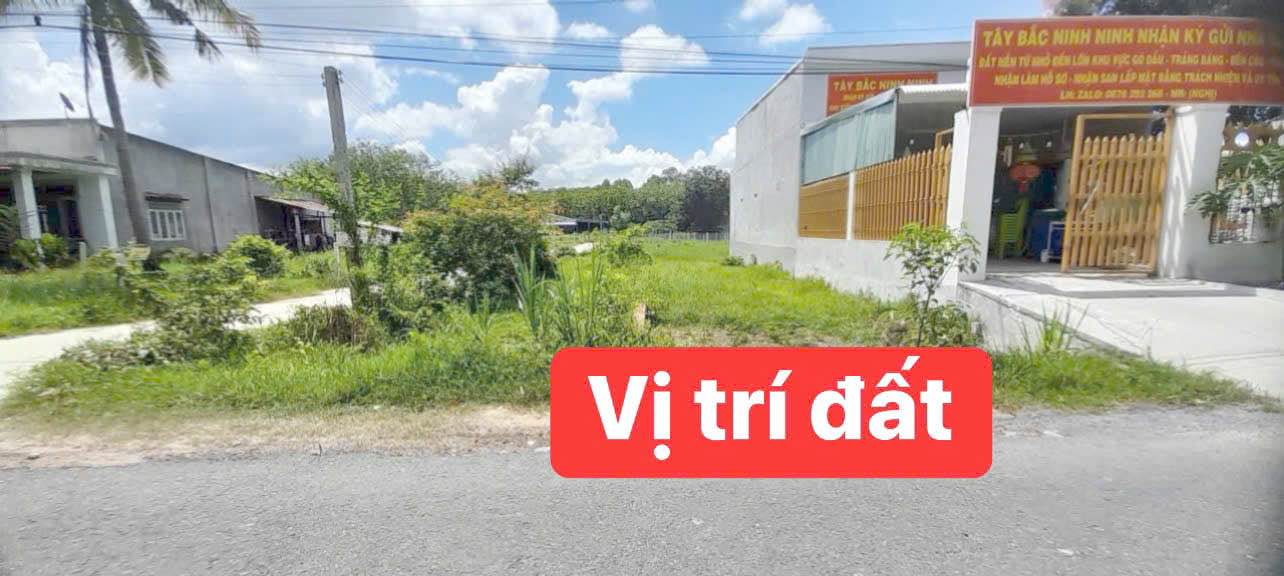 Đất mặt tiền Cầy Nêu, Hiệp Thạnh, Gò Dầu 109m² giá 650 triệu - Cơ hội đầu tư tuyệt vời!