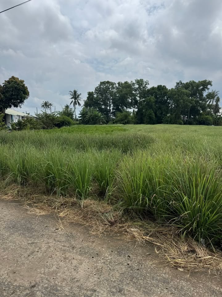 Đất vườn 613m² giá 430 triệu - Đầu tư sinh lời ngay lập tức!