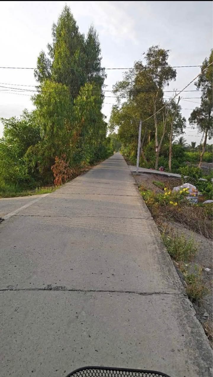 Đất nông nghiệp 1800m² ấp 9, xã Lương Hòa, Bến Lức - Đầu tư sinh lời hấp dẫn!