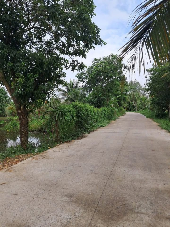 Đất mặt tiền đường Bê Tông Đức Hòa 5700m² - Tiềm năng đầu tư lớn!