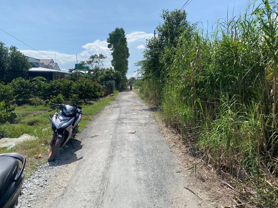 Đất nền mặt tiền 4m tại Thới Hưng, 159.5m² giá chỉ 800 triệu - Đầu tư lý tưởng!