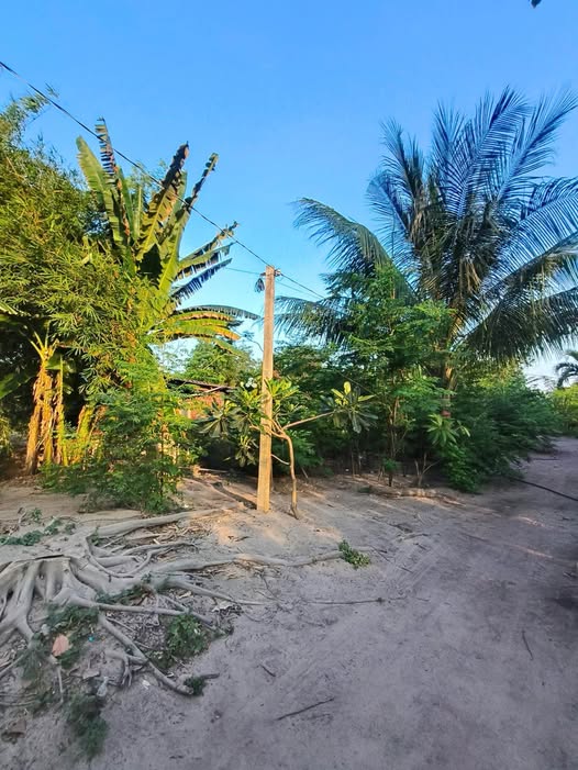 Bán đất Phước Hải, Bà Rịa - Vũng Tàu, 3725m² giá 9 tỷ - Cơ hội đầu tư hấp dẫn!