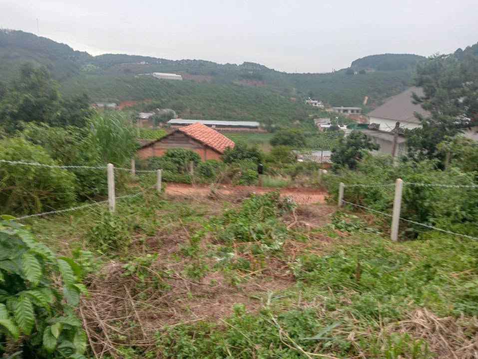 Đất nền xã Nam Ban, Lâm Hà 217m² giá 799 triệu - Đầu tư sinh lời ngay!