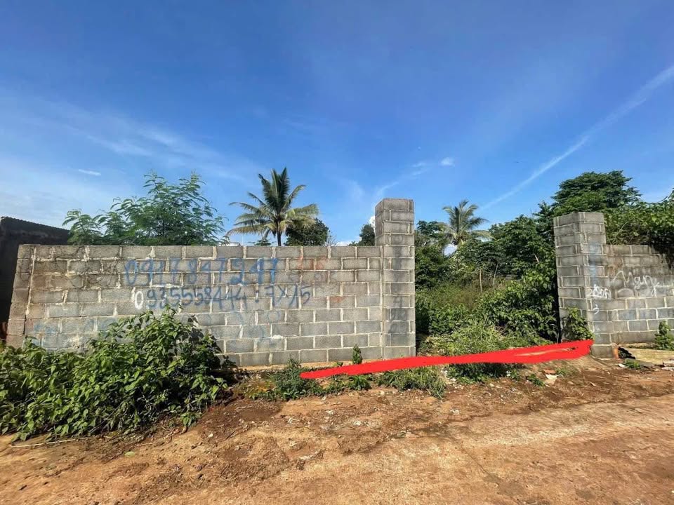 Đất nền hẻm Tỉnh lộ 8, Tân An, 60m² giá 990 triệu - Cơ hội đầu tư hấp dẫn!