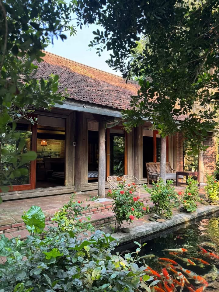 Đất sản xuất kinh doanh 3ha tại xã Nhật Tiến, Lạng Sơn - Mặt bằng rộng rãi, phù hợp mọi ngành nghề!