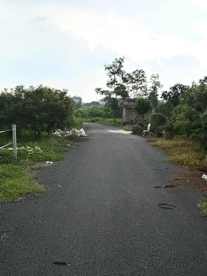 Đất nền Hòa Hội, Xuyên Mộc 2134m² giá 1.7 tỷ - Sát trường cấp 3, đầu tư sinh lời!