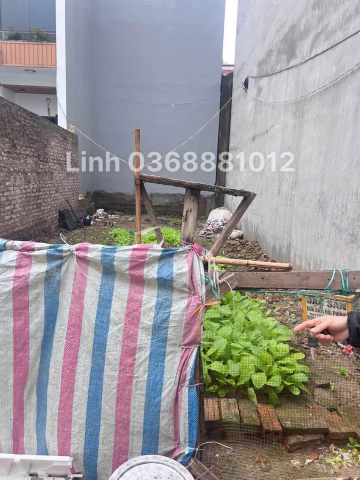 Đất nền Vĩnh Quỳnh - Thanh Trì 60m² giá 5.3 tỷ - Sổ đỏ chính chủ!