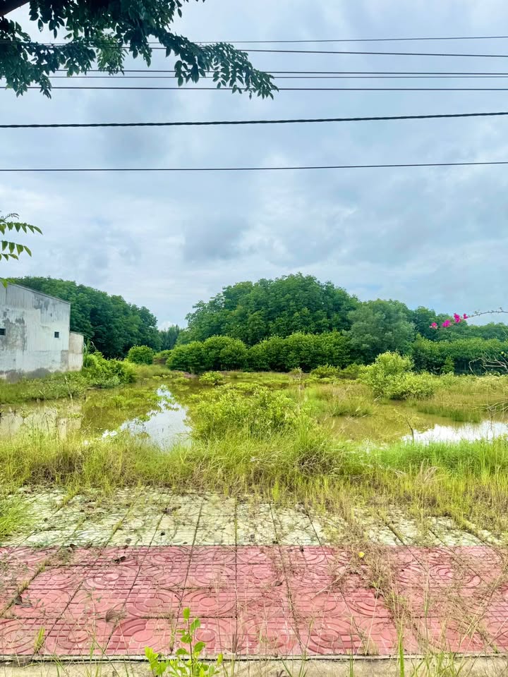 Đất nền mặt tiền xã Ngũ Lạc 1000m² chỉ 11 tỷ - Cơ hội đầu tư tuyệt vời!