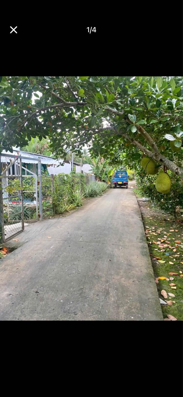 Đất nền Nhơn Ái Phong Điền 312m² - Sổ hồng chính chủ, giá rẻ bất ngờ!