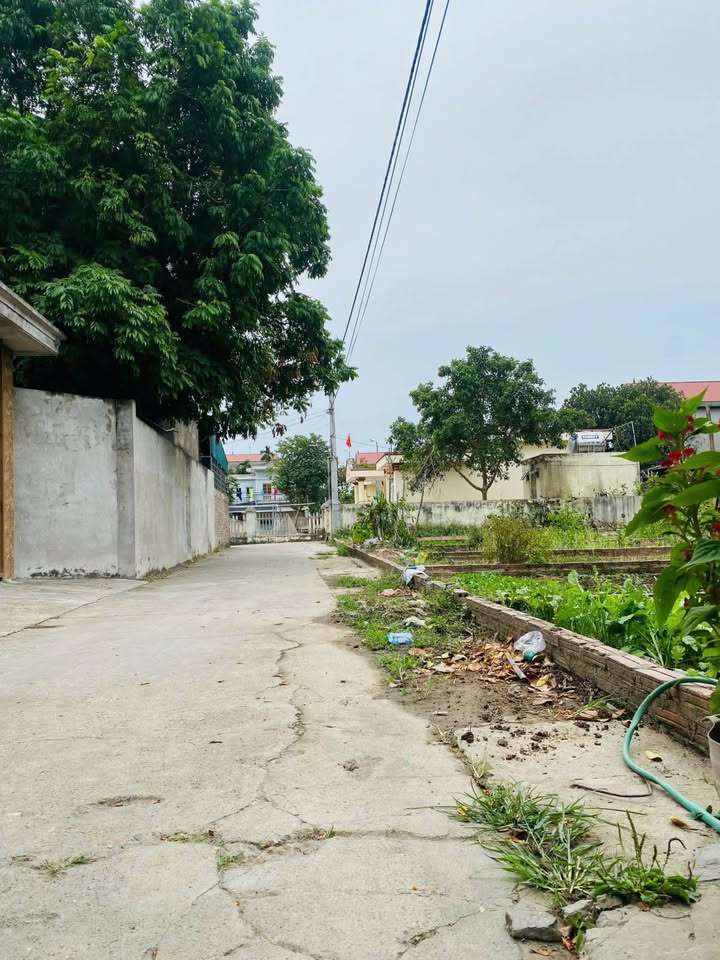 Đất nền Hiền Ninh - Sóc Sơn 64m² giá 1.28 tỷ - Đầu tư sinh lời ngay!