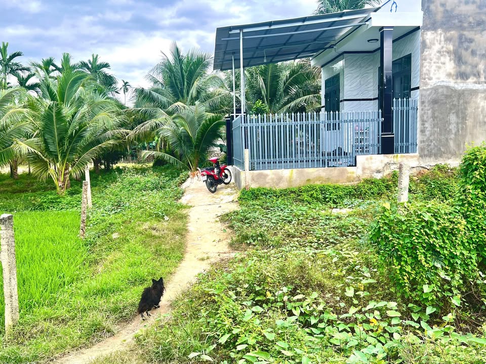 Đất Ninh Phụng Ninh Hòa 146,3m² giá 340 triệu - Pháp lý rõ ràng, tiềm năng phát triển!