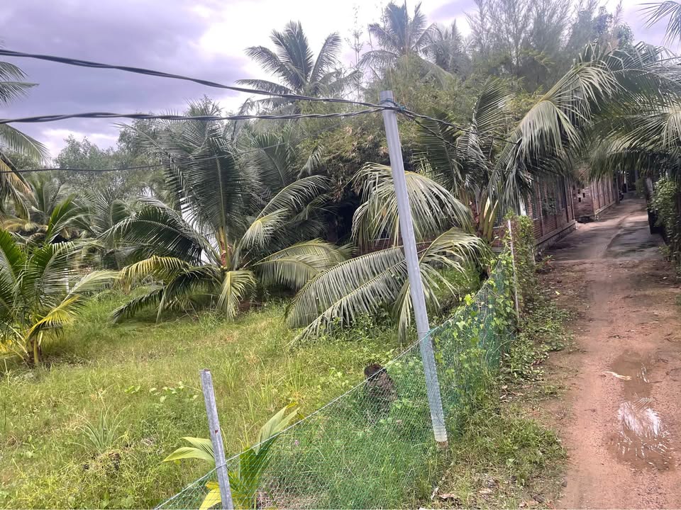 Đất nền Ngọc Hiệp Nha Trang 50m² giá 400 triệu - Sổ chung chính chủ!