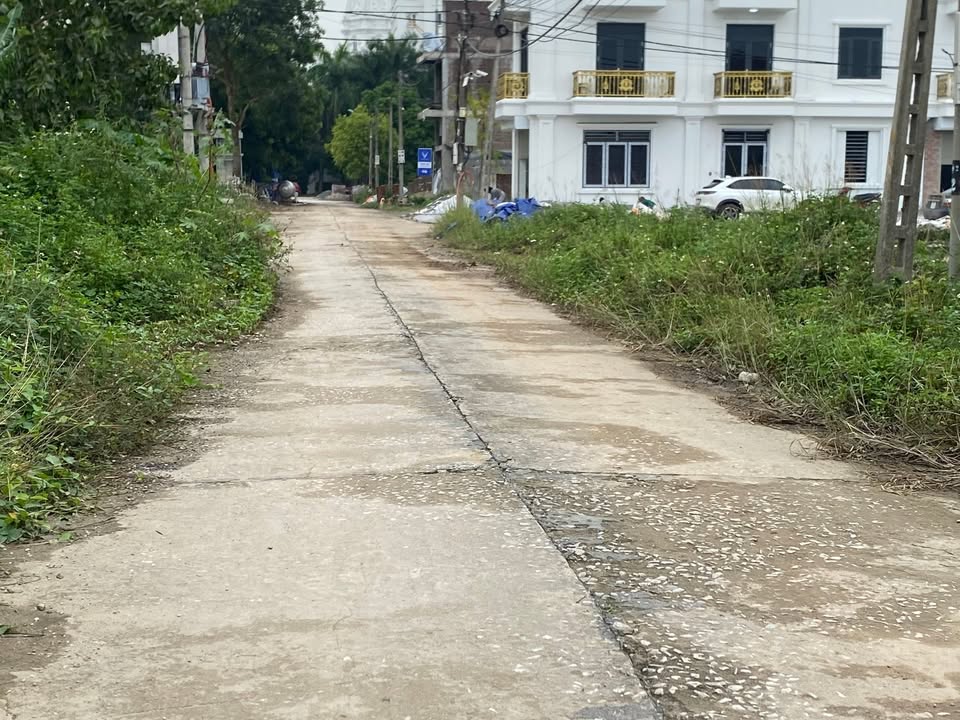 Đất nền Ngõ 177 Tiền Đồng Ninh Khánh 92.5m² - Mặt tiền 5m, Hướng Nam hấp dẫn!