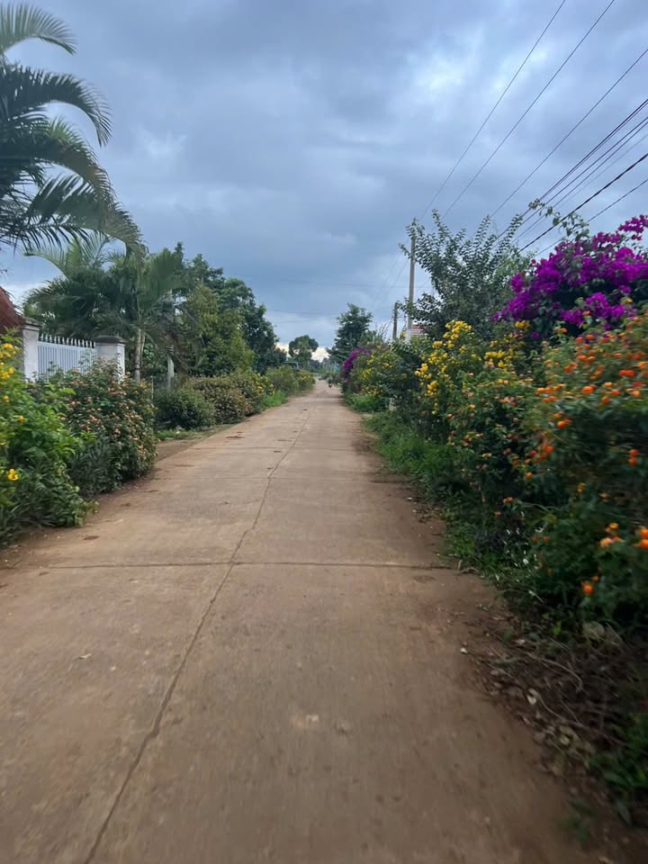 Đất thổ cư Tân Hội, Đức Trọng 225m² giá chỉ 920 triệu - Mặt tiền 2 đường siêu đẹp!