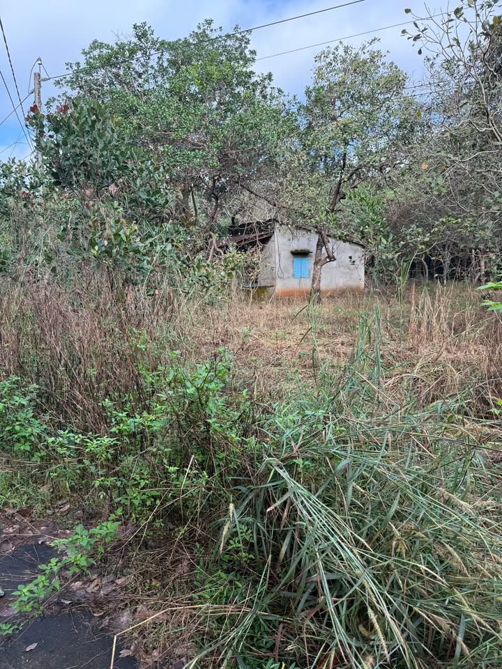 Đất nền chính chủ Minh Hưng 14,000m² giá 2.2 tỷ - Cơ hội đầu tư tuyệt vời!