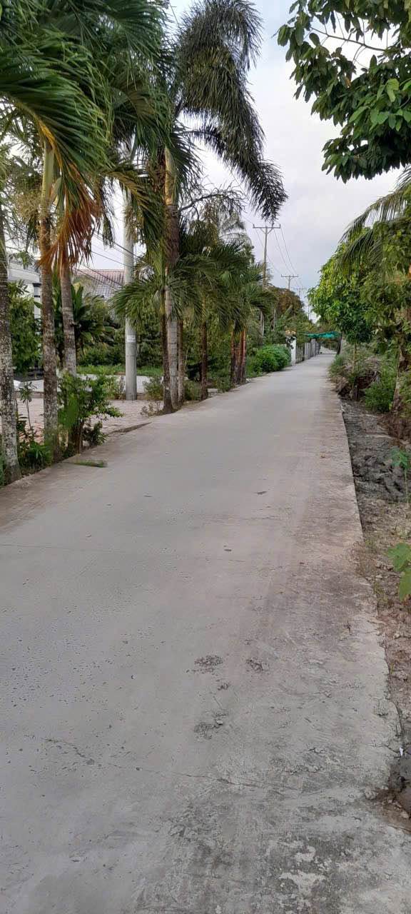 Đất nông nghiệp Trường Long Tây 4300m² giá 1.6 tỷ - Tiềm năng phát triển cao!