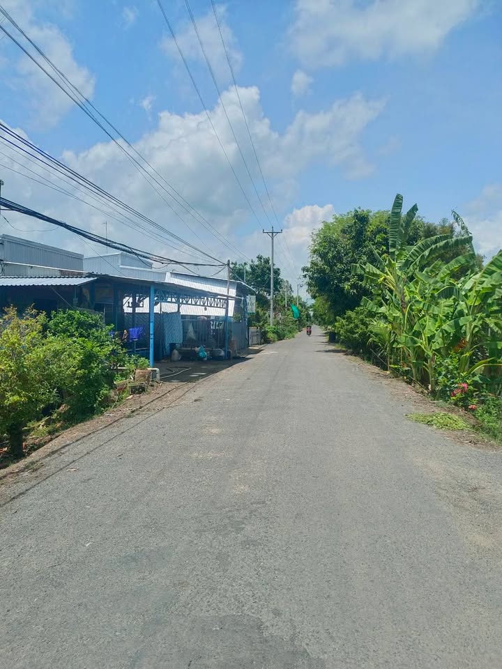 Đất nền xã Thạnh Mỹ Tây, Châu Phú, An Giang 135m² chỉ 340 triệu - Cơ hội đầu tư hấp dẫn!