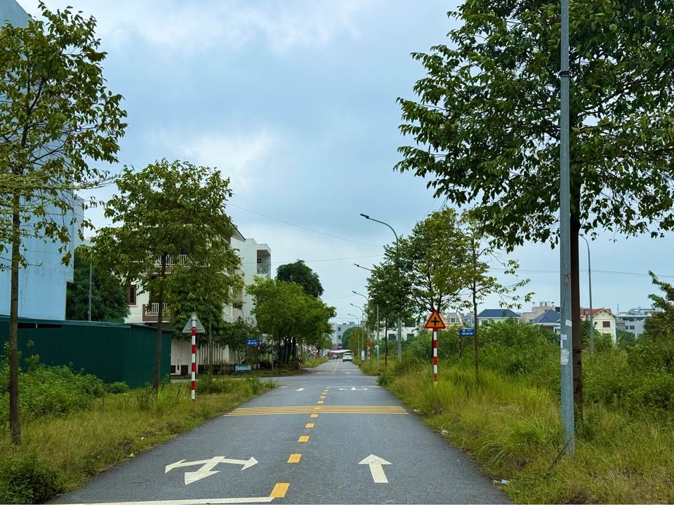 Đất nền Phủ Lý 185m² mặt tiền đường Trần Quốc Vượng - Cơ hội đầu tư hấp dẫn!