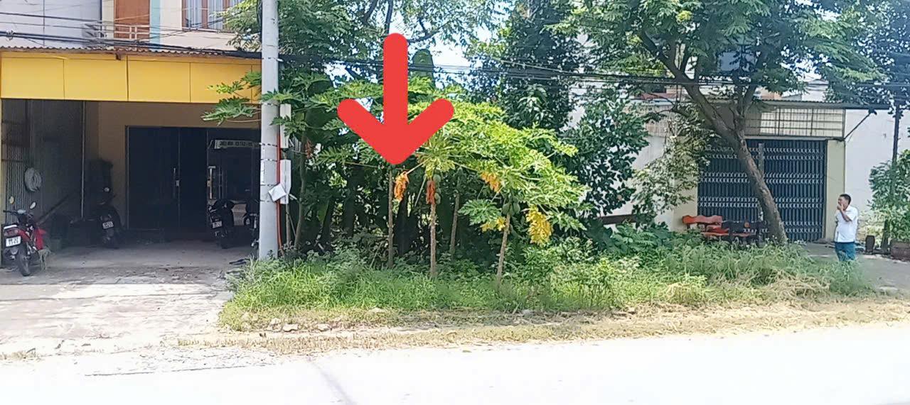 Đất nền Tỉnh lộ 307 Tân Lập 100m² giá 2 tỷ - Cơ hội đầu tư tuyệt vời!