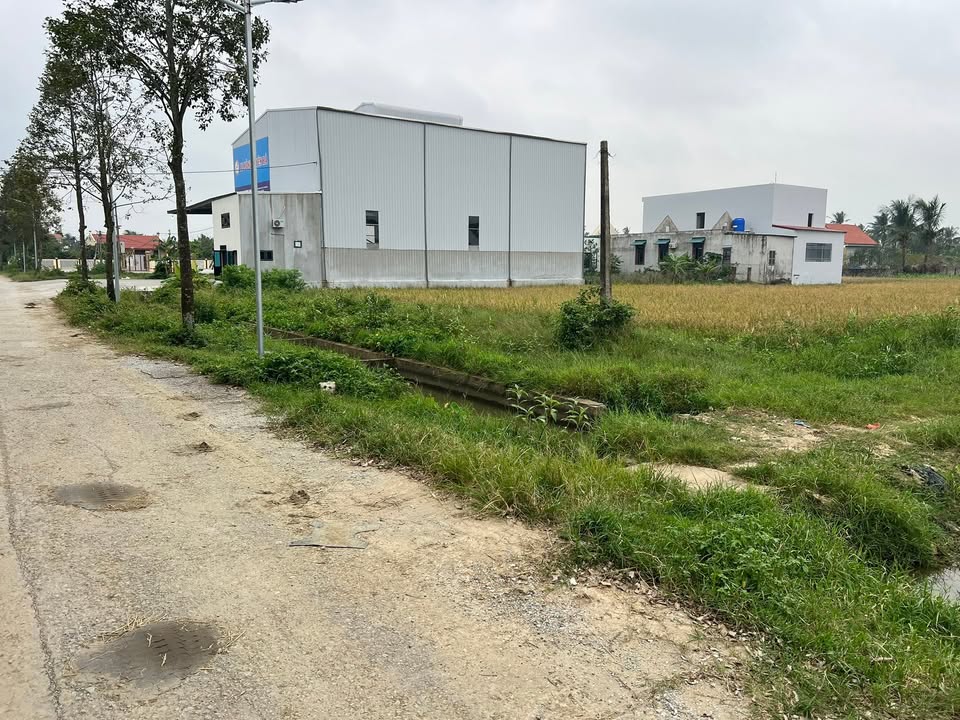 Đất thổ cư Thị trấn Hậu Lộc 200m² giá chỉ 1.26 tỷ - Cơ hội đầu tư tuyệt vời!