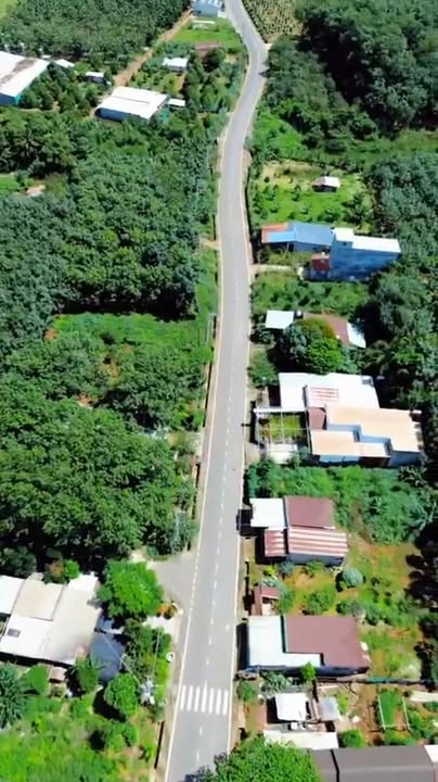 Đất nền Lộc Thiện, Lộc Ninh - 1.600m² giá chỉ 295 triệu - Tiềm năng đầu tư lớn!