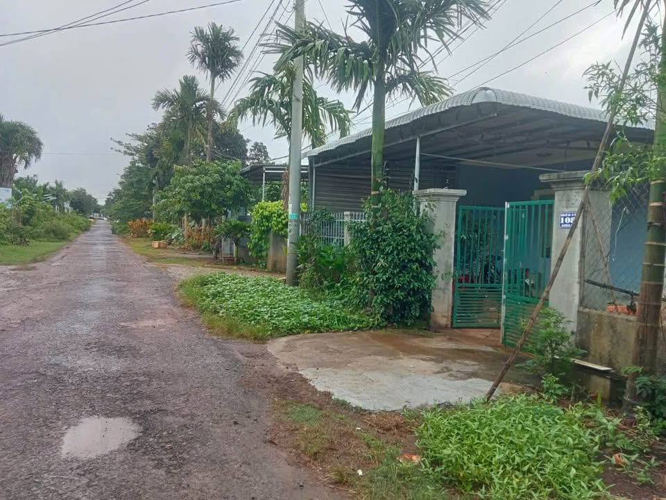 Đất nền liền kề mặt tiền đường D3 Tân An 250m² giá 1.29 tỷ - Cơ hội đầu tư tuyệt vời!