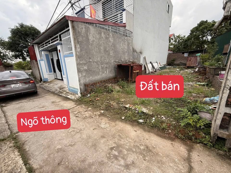 Đất thổ cư Hiền Ninh, Sóc Sơn 100m² - Chính chủ bán gấp, giá tốt!