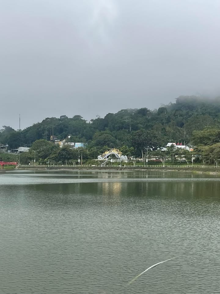 Đất nền Thủy Đông, Thạnh Hóa 88m² giá chỉ 350 triệu - Cơ hội đầu tư tuyệt vời!