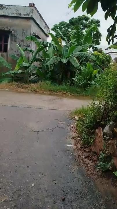 Đất nền Đông Cứu, Gia Bình 81m² giá 1.1 tỷ - Đầu tư sinh lời hấp dẫn!