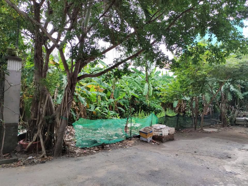 Đất nền Hiệp Bình Chánh Thủ Đức 240m² giá chỉ 15.9 tỷ - Cơ hội đầu tư hiếm có!