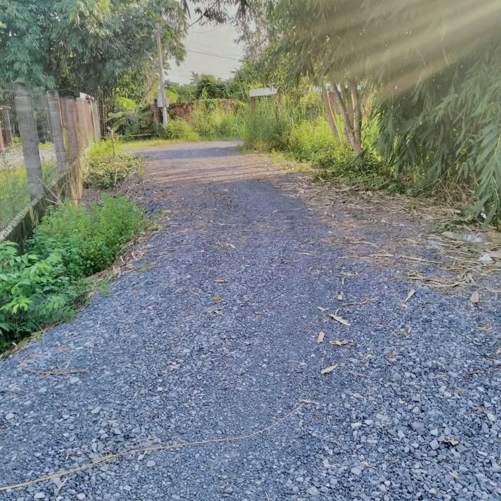 Đất nền Củ Chi 765m² giá 6.7 tỷ - Mô hình nhà yến, đầu tư sinh lời!