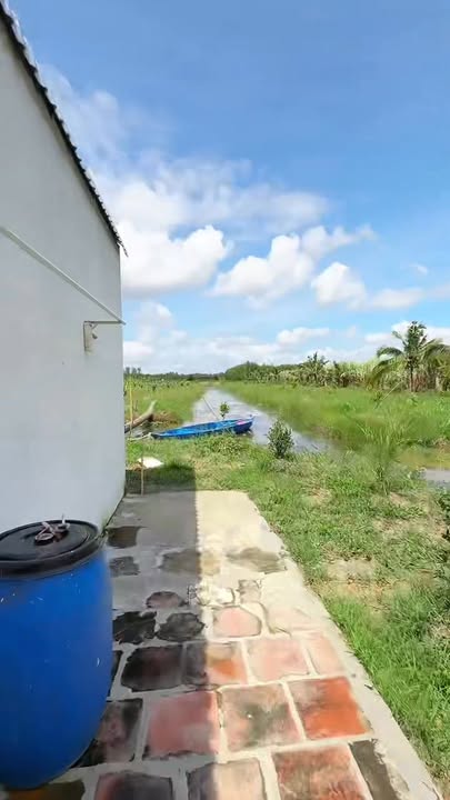 Nhà vườn nghỉ dưỡng Phương Bình Cần Thơ 19586m² giá 4 tỷ - Tiềm năng sinh lời cao!