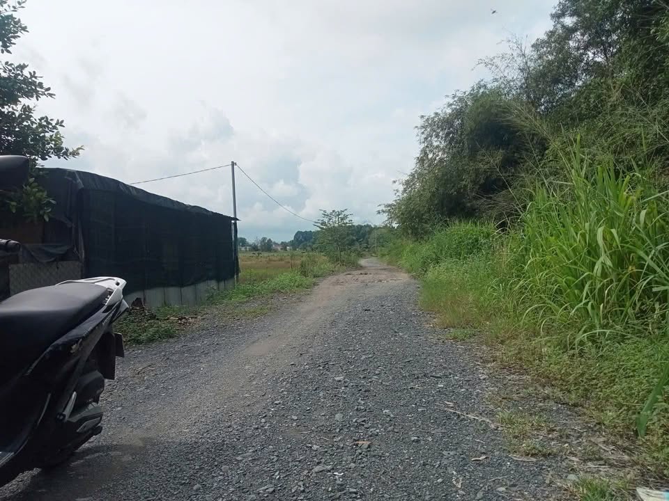 Nhà vườn Phước Vĩnh An Củ Chi 1800m² giá 4.5 tỷ - Đầu tư ngay!