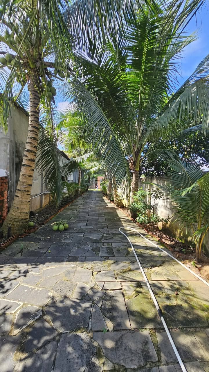 Nhà phố Trảng Bom 700m² giá thỏa thuận - Không gian sống lý tưởng!